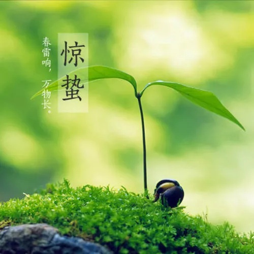微信图片_20210629201204.jpg