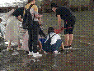 16575059656258436.gif