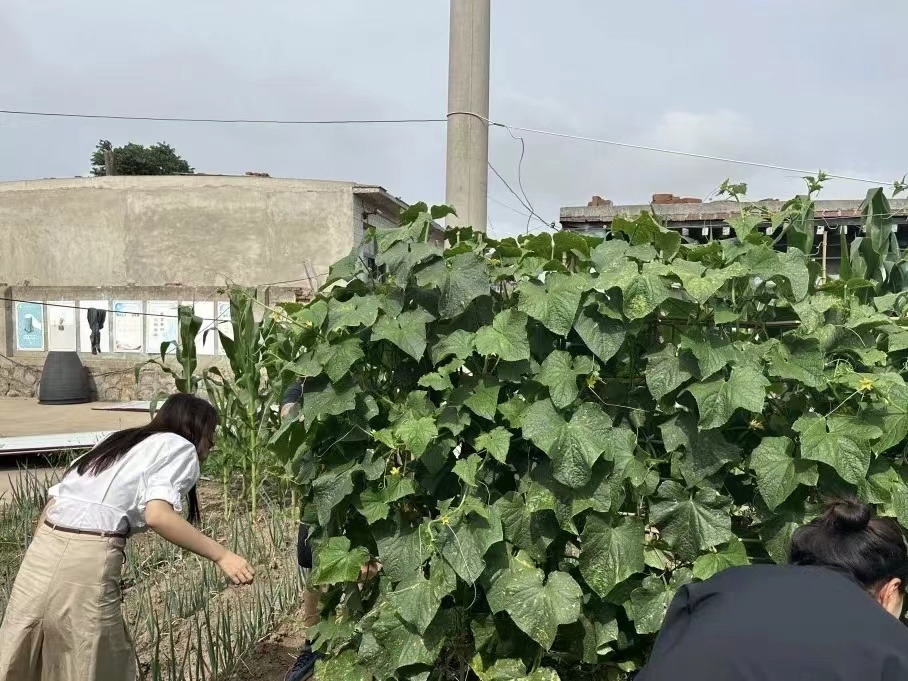 河北科技学院汽车工程学院开展“进村入户访民生，促膝交流送温暖”主题三下乡活动