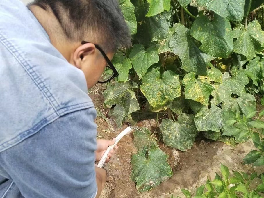 河北科技学院汽车工程学院开展“进村入户访民生，促膝交流送温暖”主题三下乡活动
