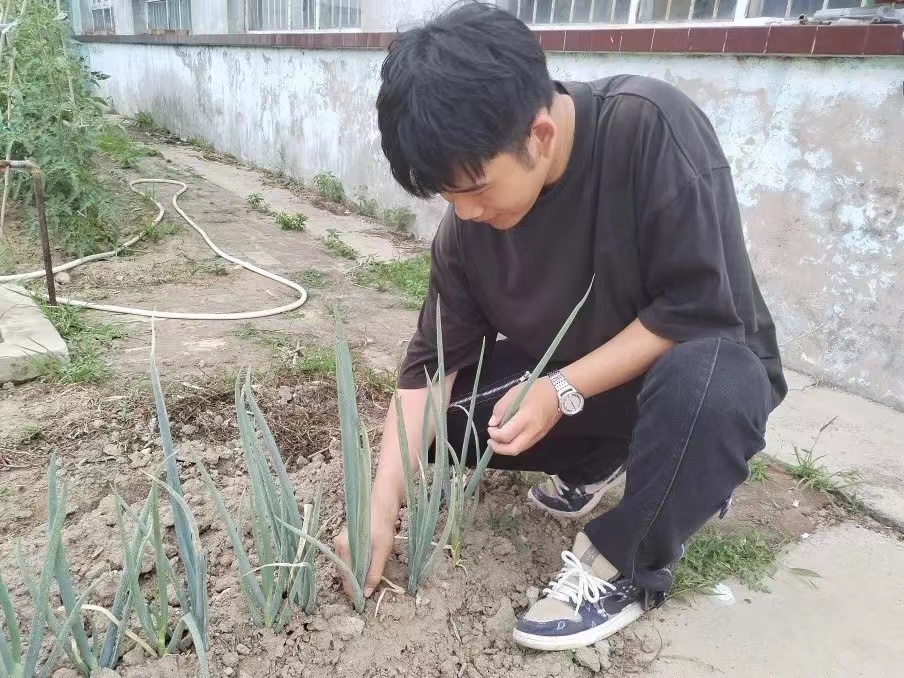 河北科技学院汽车工程学院开展“进村入户访民生，促膝交流送温暖”主题三下乡活动