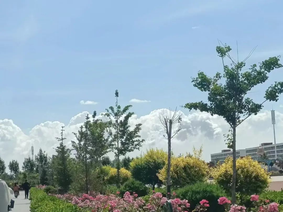 微信图片_20250329205421.jpg
