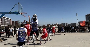 热血“篮”不住，教育学院篮球赛拉开帷幕