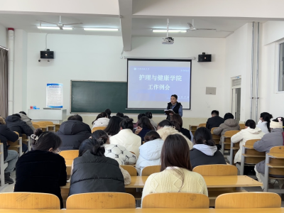 关于护理与健康学院整体发展的工作例会