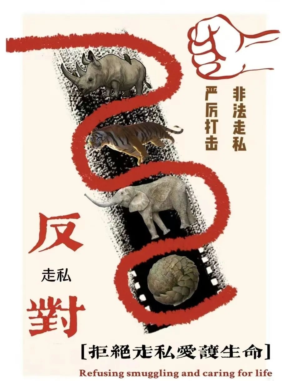 微信图片编辑_20250225085508.jpg