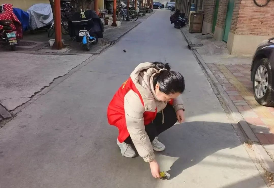 微信图片编辑_20250226213346.jpg