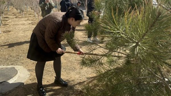 提升生态品质 共建绿色家园 || 河北科技学院各二级学院组织开展植树节主题系列活动（二） 第 3 张