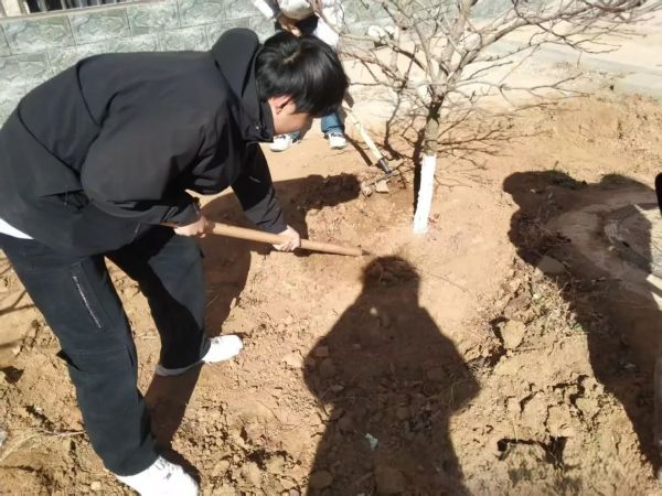 提升生态品质 共建绿色家园 || 河北科技学院各二级学院组织开展植树节主题系列活动（二） 第 5 张