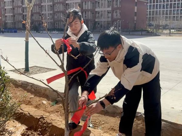 提升生态品质 共建绿色家园 || 河北科技学院各二级学院组织开展植树节主题系列活动（二） 第 19 张